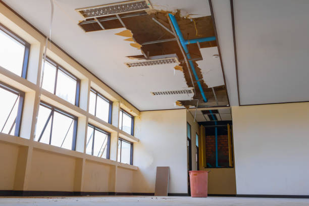 Best Water damage cleanup near me  in Auburn, KS