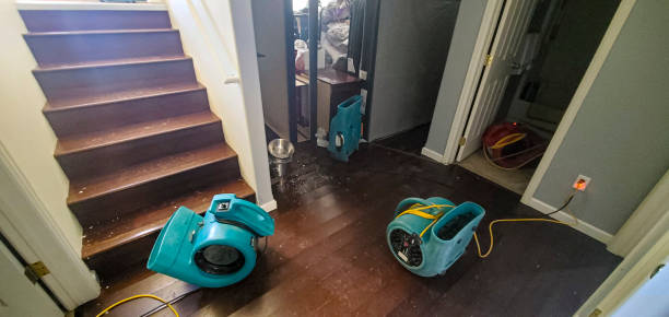 Best Flood restoration services  in Auburn, KS