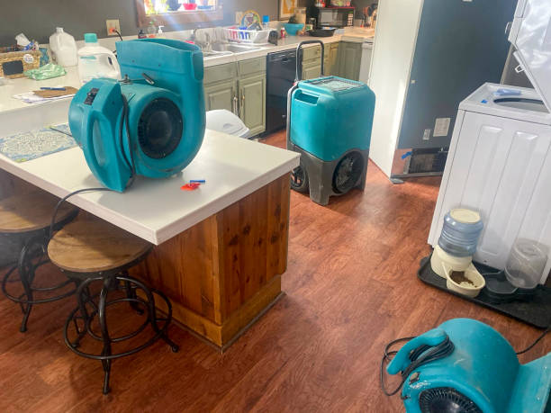 Best Flood damage cleanup  in Auburn, KS