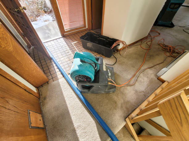 Best Emergency water damage restoration  in Auburn, KS