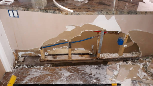 Best Fire Damage Restoration  in Auburn, KS