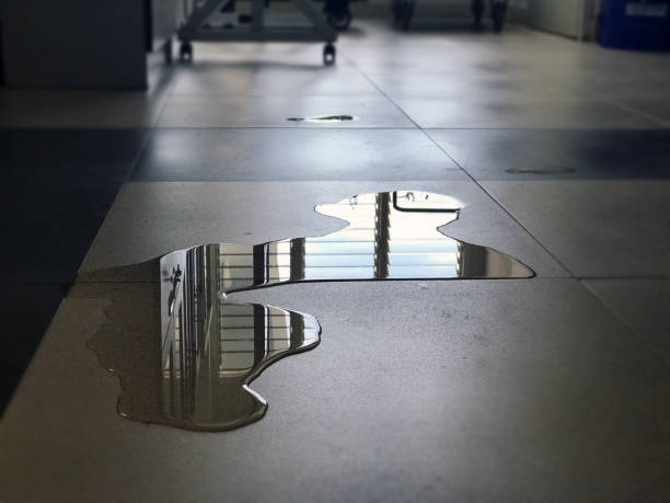 Best Water damage cleanup near me  in Auburn, KS