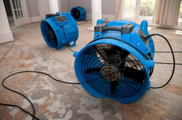 Best Carpet water damage restoration  in Auburn, KS
