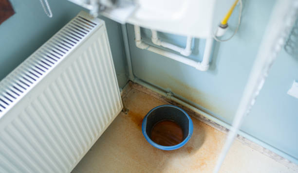 Best Flooded house restoration  in Auburn, KS