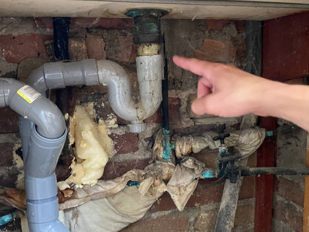 Best Water damage restoration near me  in Auburn, KS
