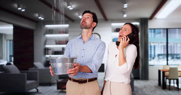 Best Residential water damage restoration  in Auburn, KS